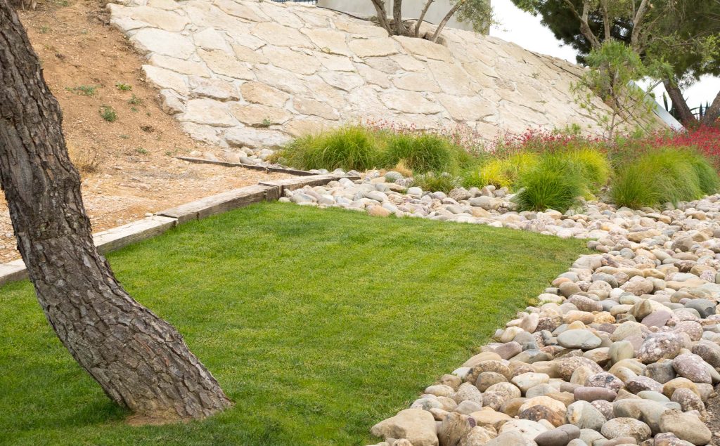 5 de junio, Día Mundial del Medio Ambiente