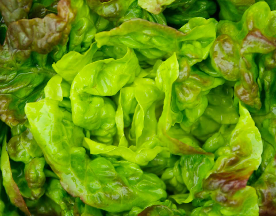 Correctores de magnesio