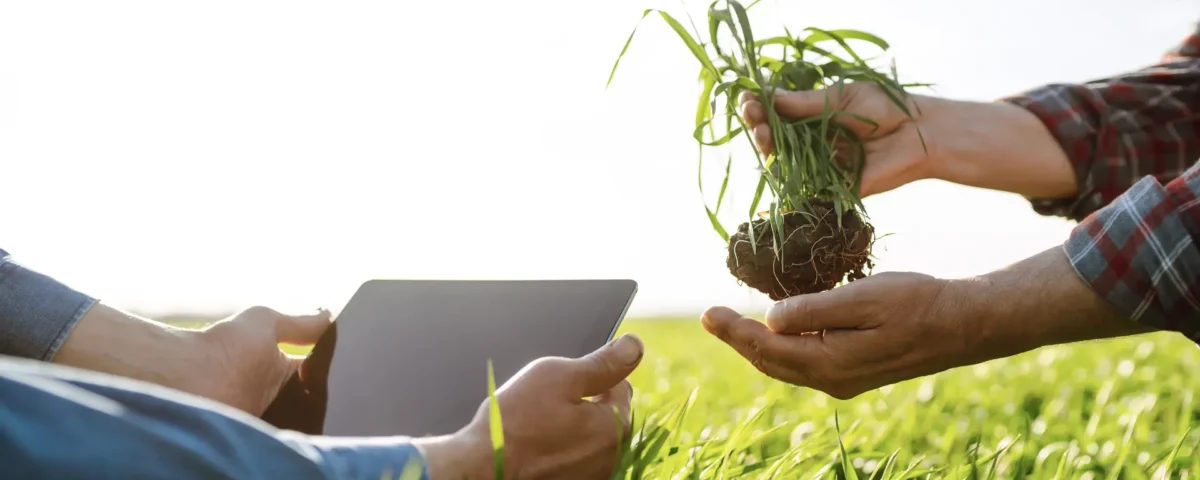 Soluciones agronómicas LUQSA