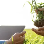 Soluciones agronómicas LUQSA