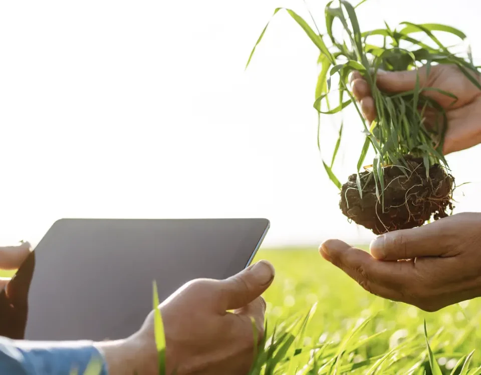 Soluciones agronómicas LUQSA