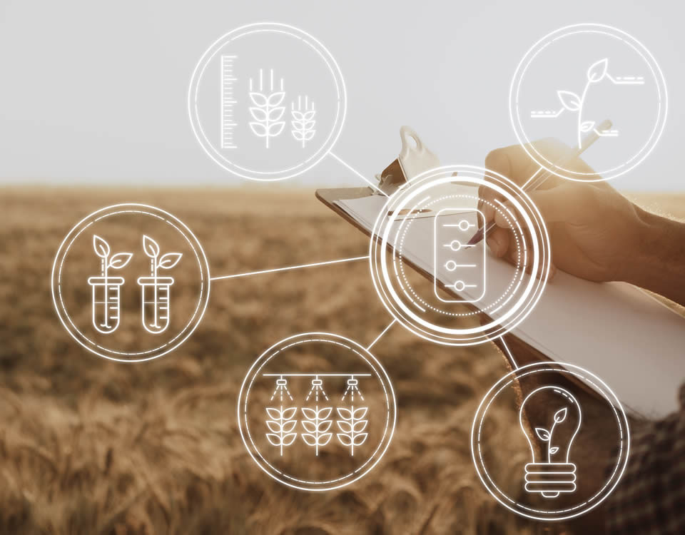 Correctores de magnesio