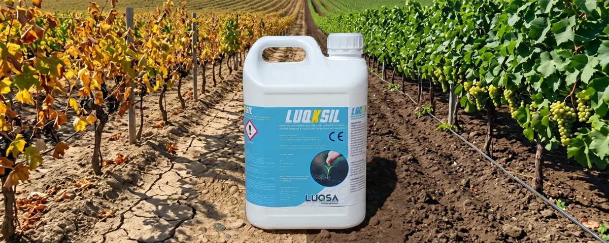 Corrector de silicio LUQKSIL de LUQSA
