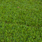 FERTILUQ GRANULADO T 22 y T44