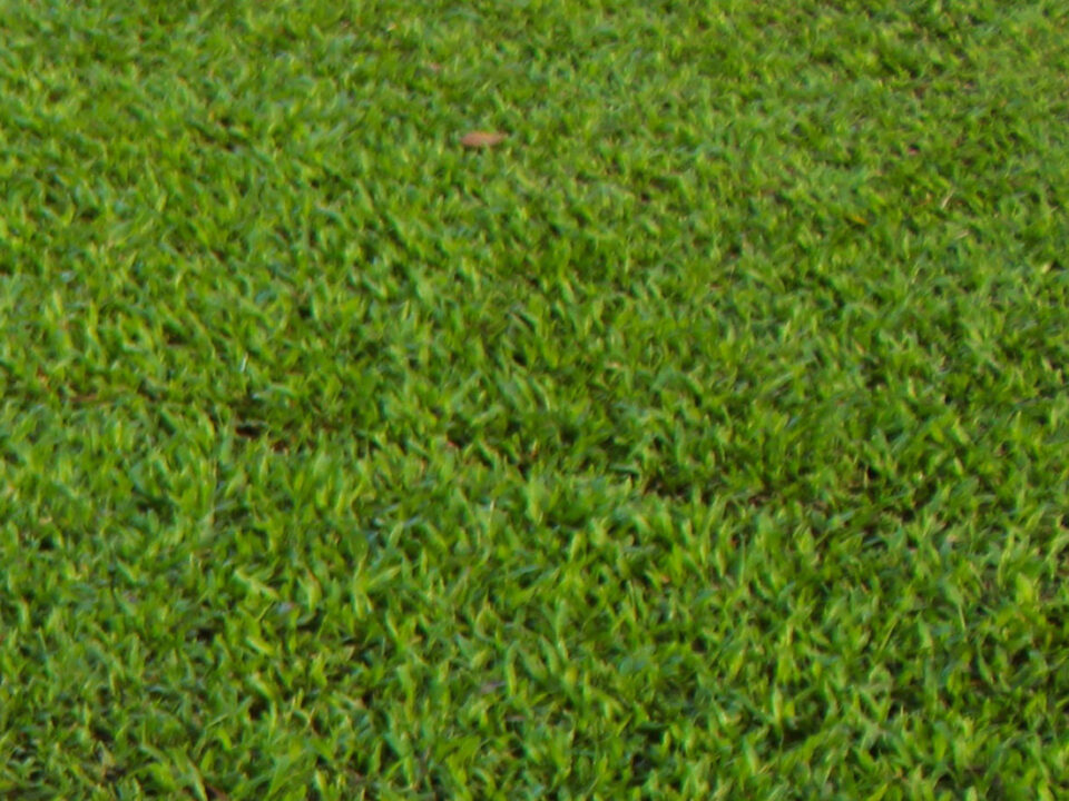 FERTILUQ GRANULADO T 22 y T44