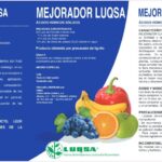 Estudio de eficacia del mejorador LUQSA con: judías, tomates y zanahorias