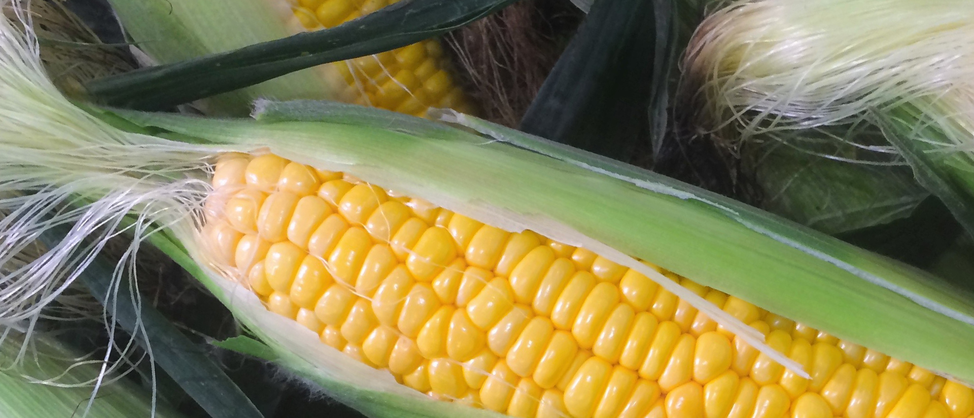 NPK LÍQUIDOS CLAROS CON MICROS (L.G.)