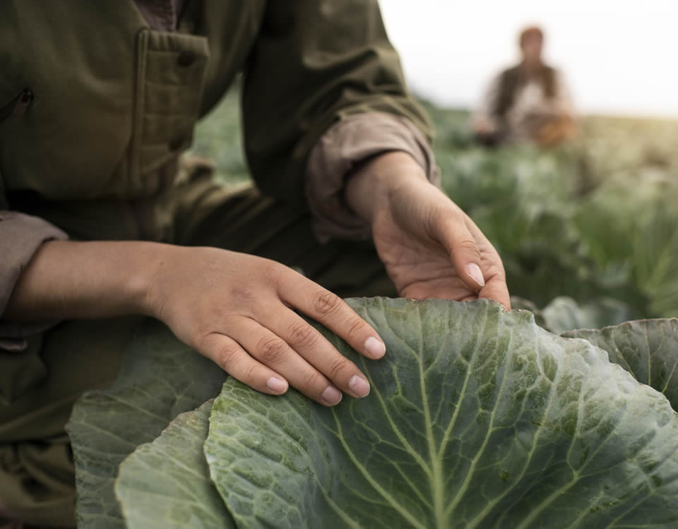 Aptos para la agricultura ecológica