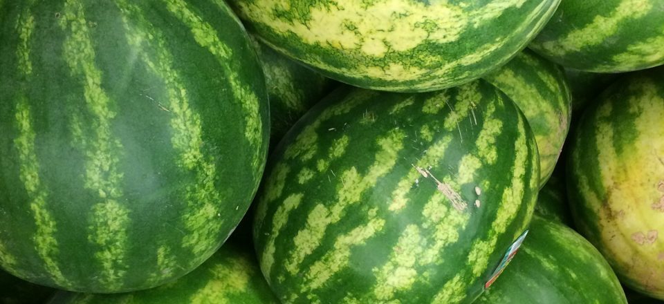 Ayuda al crecimiento de tus cultivos con WINLUQ